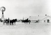 Image of Horace in Greeley County, Kansas